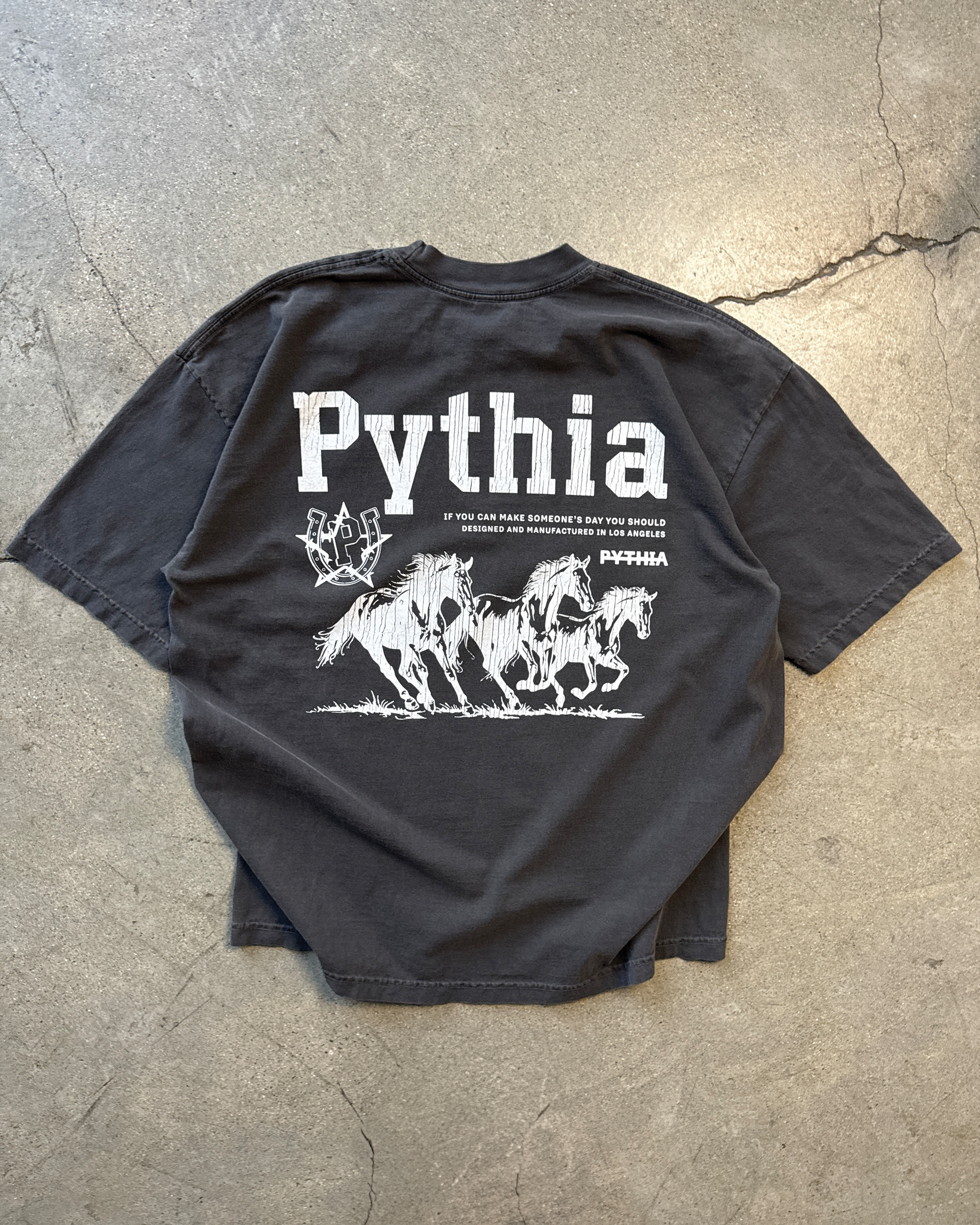 WILD HORSES TEE - VINTAGE WASH